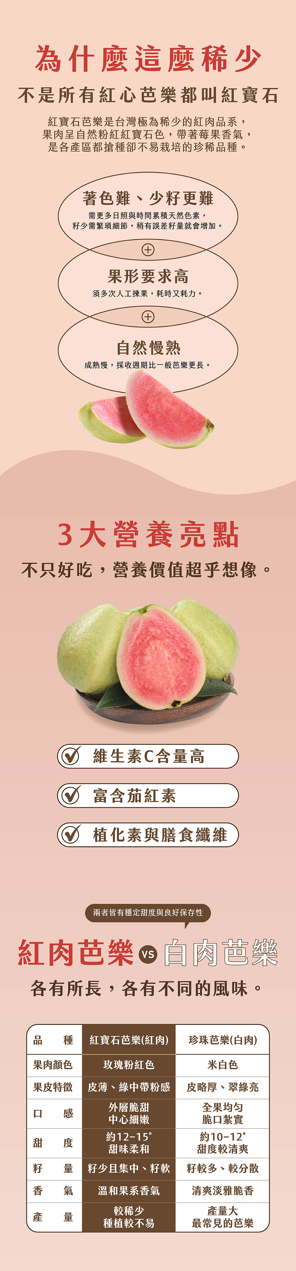 紅寶石芭樂,紅心芭樂,紅寶石,紅心,產地,直送,現採,彰化,百香果,都香,都香三號,都香3號,十九,甜,禮盒,水果,金都,3號,金都3號,金都三號