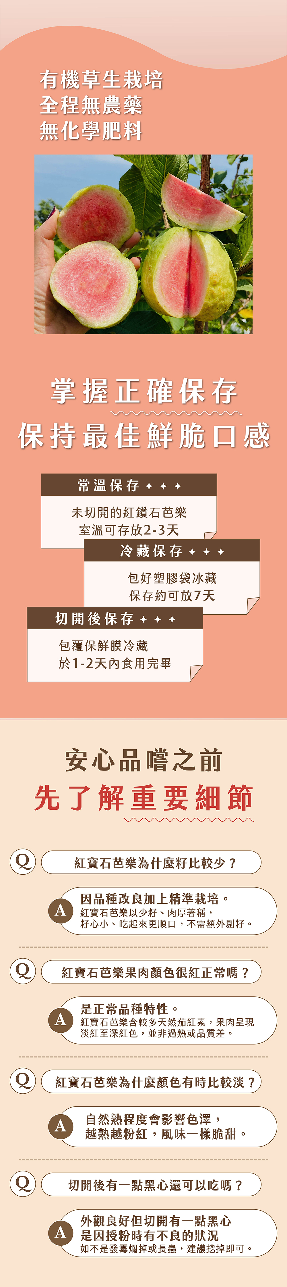 紅寶石芭樂,紅心芭樂,紅寶石,紅心,產地,直送,現採,彰化,百香果,都香,都香三號,都香3號,十九,甜,禮盒,水果,金都,3號,金都3號,金都三號