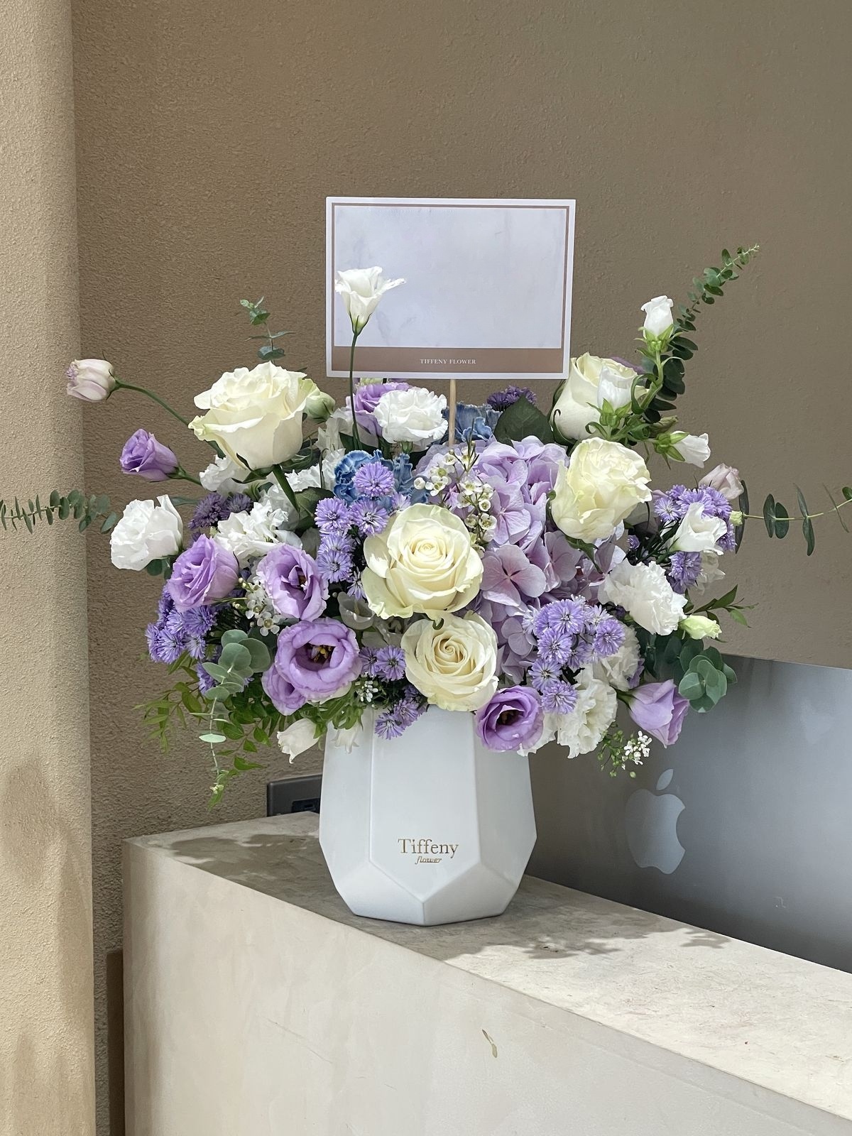 普羅旺斯之春 鮮花盆花 開幕花禮