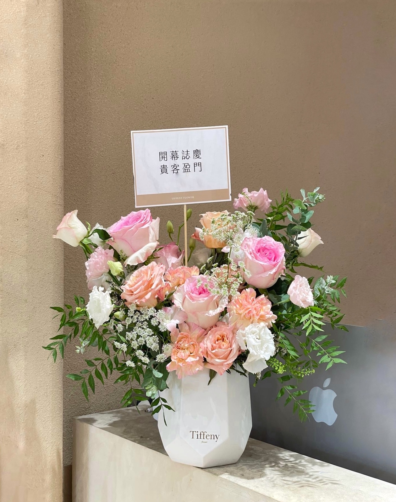 溫柔粉綠盆花 鮮花盆花 開幕花禮