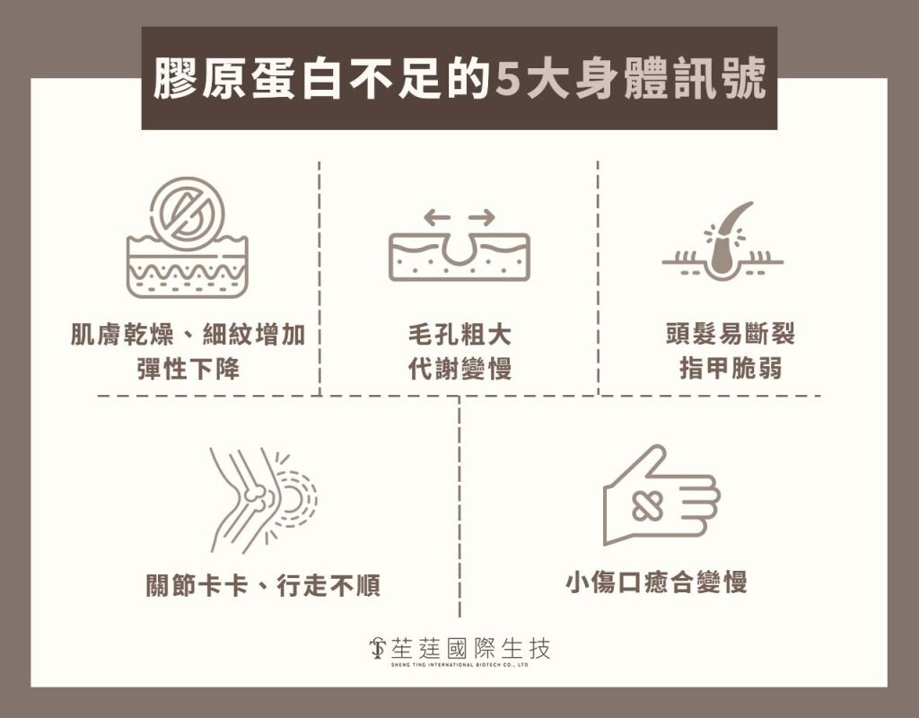 膠原蛋白不足的訊號
