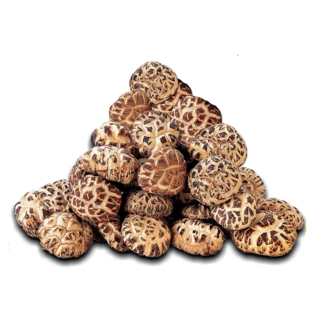 特選天白花菇 (1斤)