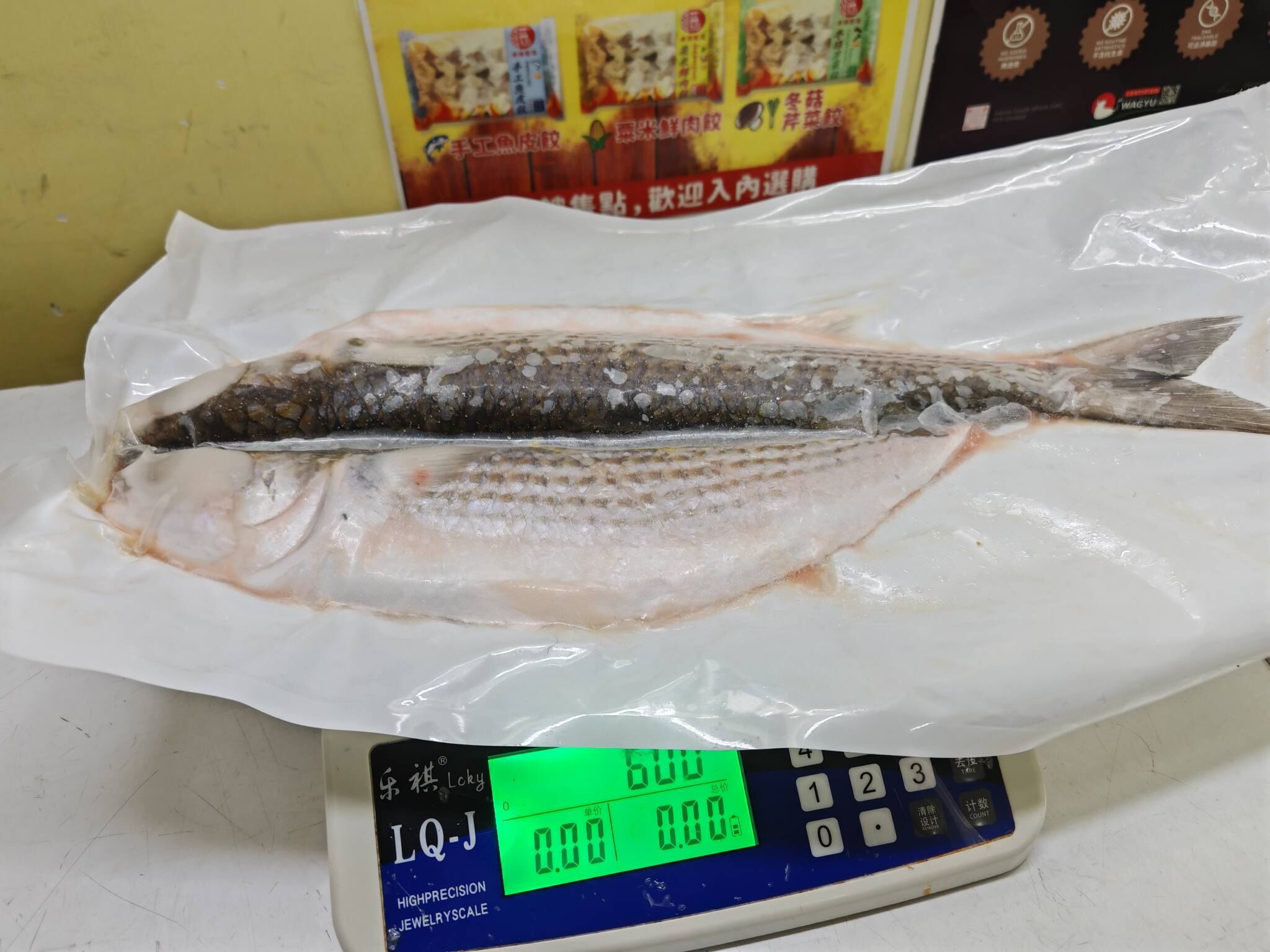 本地冷凍烏頭魚(600-700g)