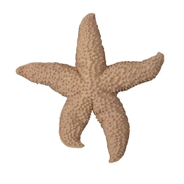 mini ByOn-海星壁飾,杏色,為兒童打造一個色彩繽紛,充滿歡樂童趣的生活