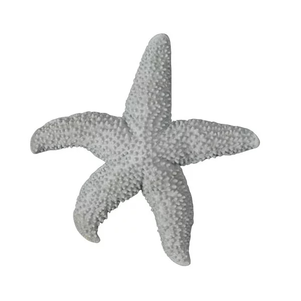mini ByOn-海星壁飾,灰色,海洋裡的元素,充滿著各樣的想像與創意