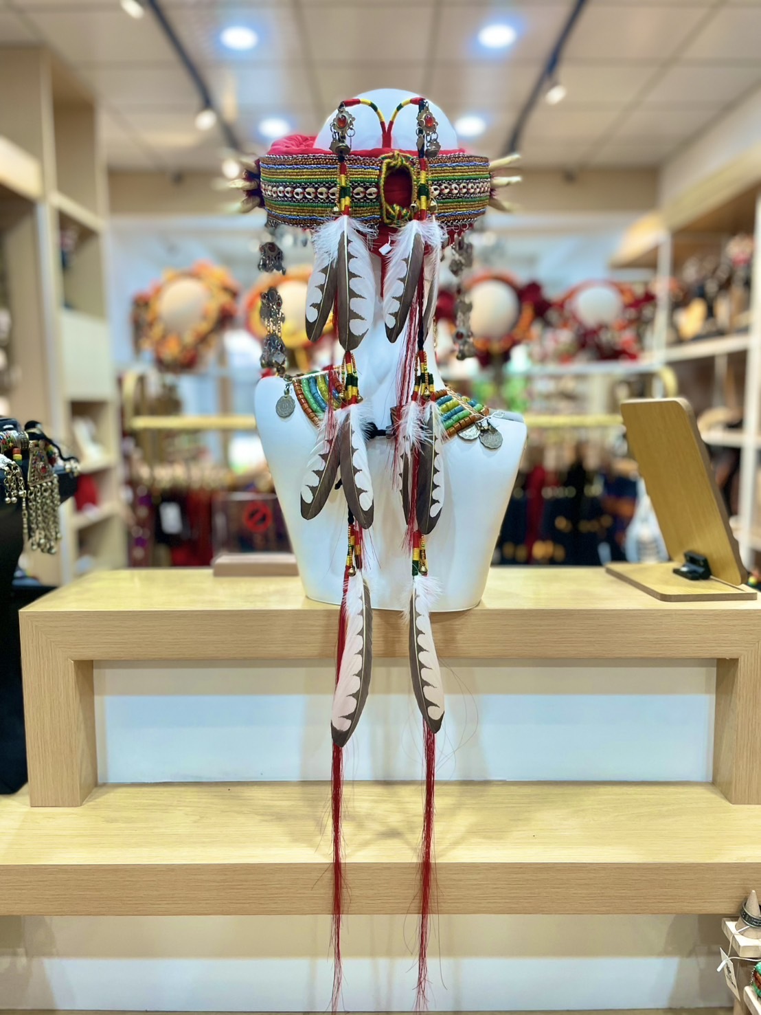 W-No.9仿真手工繪畫羽毛萊冠97cm