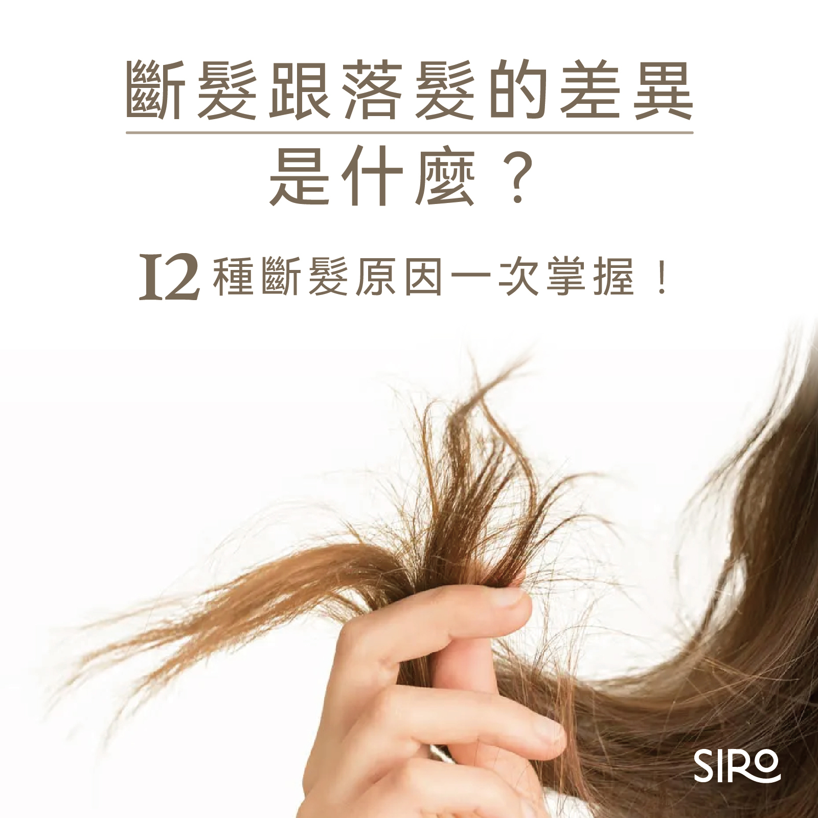 斷髮跟落髮的差異是什麼?帶你一次掌握差別及12種斷髮原因!