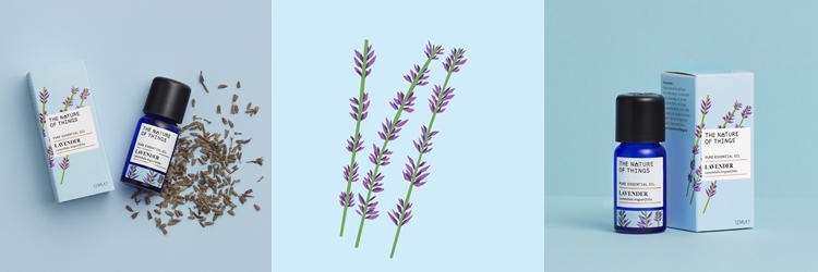 -「失智症精油照護示意圖」 -「失智症適合使用的 top5 精油」 -「精油改善記憶力的科學研究圖解」 -「失智症三大精油配方知識圖」 -「精油助眠、抗焦慮、啟動大腦示意」