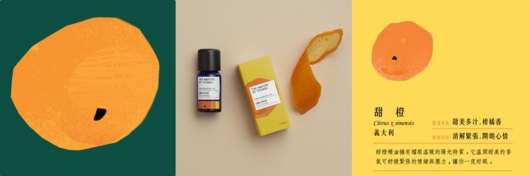 -「失智症精油照護示意圖」 -「失智症適合使用的 top5 精油」 -「精油改善記憶力的科學研究圖解」 -「失智症三大精油配方知識圖」 -「精油助眠、抗焦慮、啟動大腦示意」