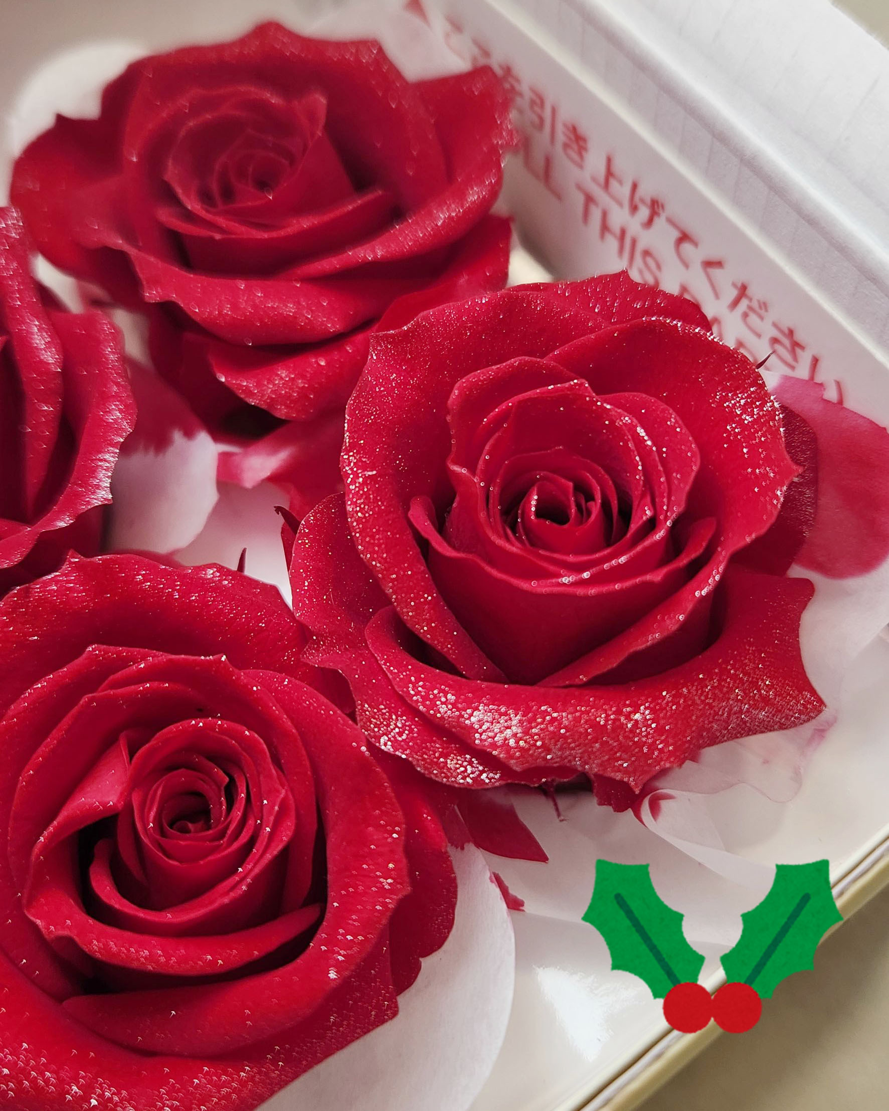 【聖誕限定🌹】 永生8輪玫瑰 星空紅