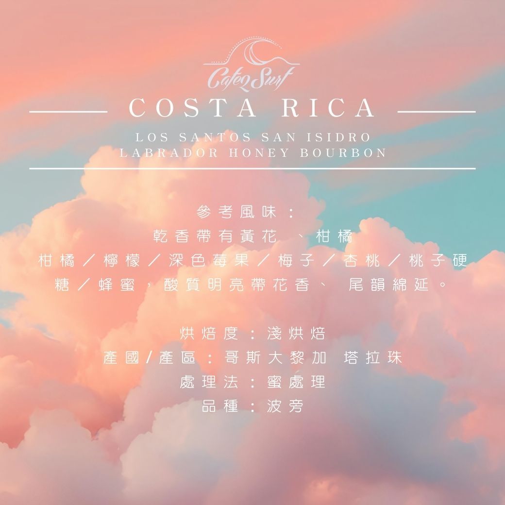淺烘焙︱#4 哥斯大黎加 塔拉珠 聖伊西多羅處理場  蜜處理 波旁﹙半磅裝／227g﹚