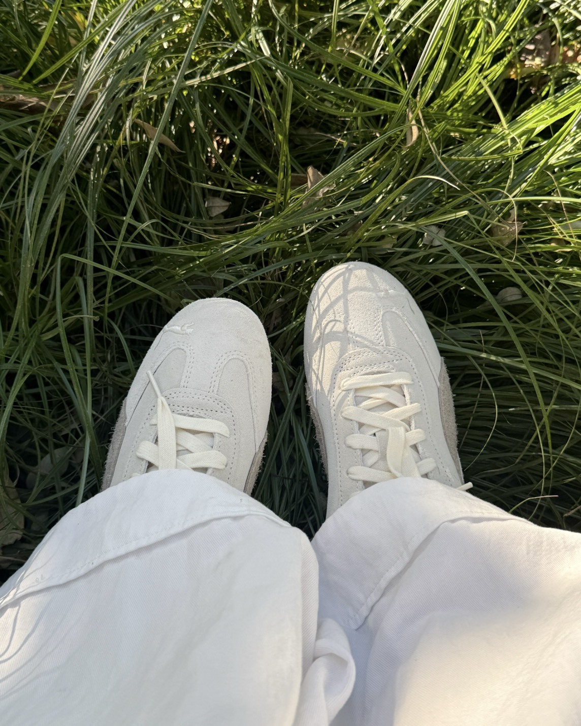 【預購】PUMA W SPEEDCAT 米棕 40361901