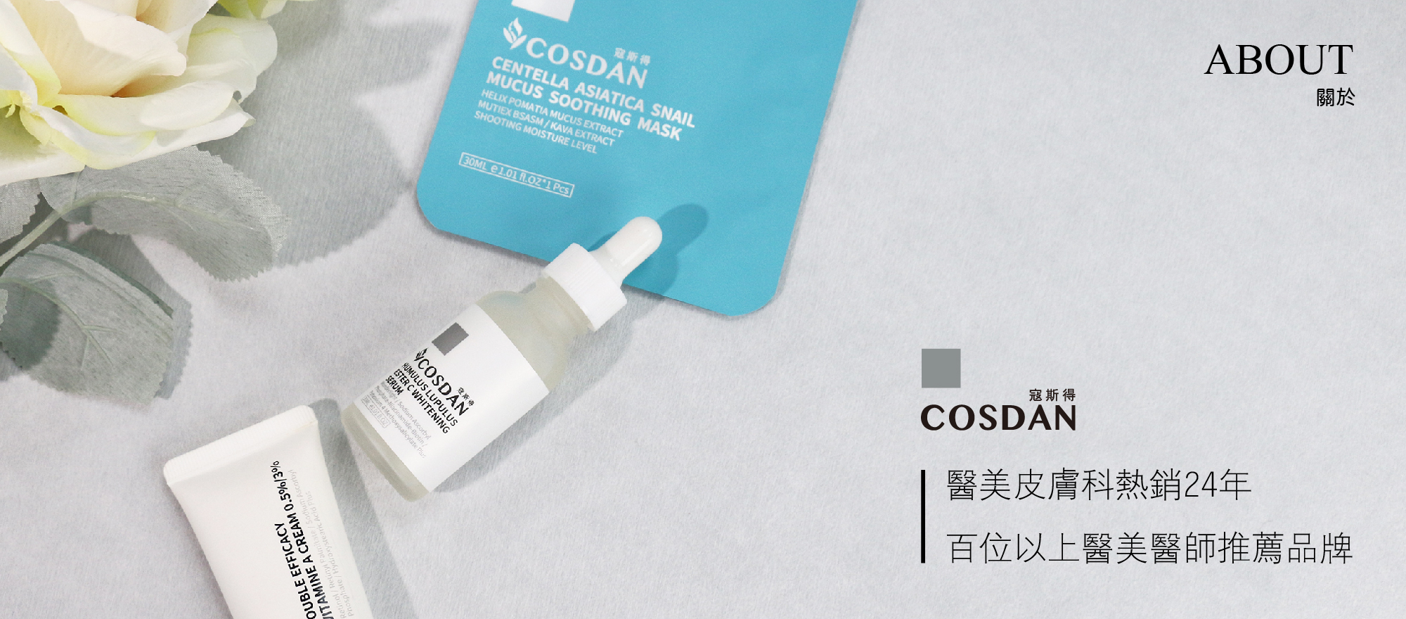 關於寇斯得24年