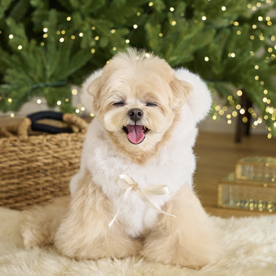 Bear Fur Coat 熊寶寶毛毛大衣 (Cream) 奶油-It’s sunny outside