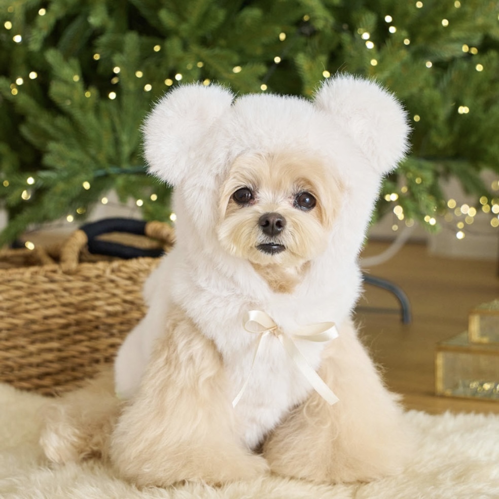 Bear Fur Coat 熊寶寶毛毛大衣 (Cream) 奶油-It’s sunny outside