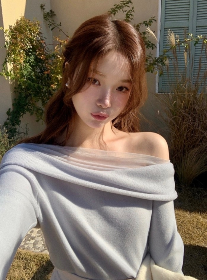 【優惠預訂】韓國網紗加絨上衣（4色）