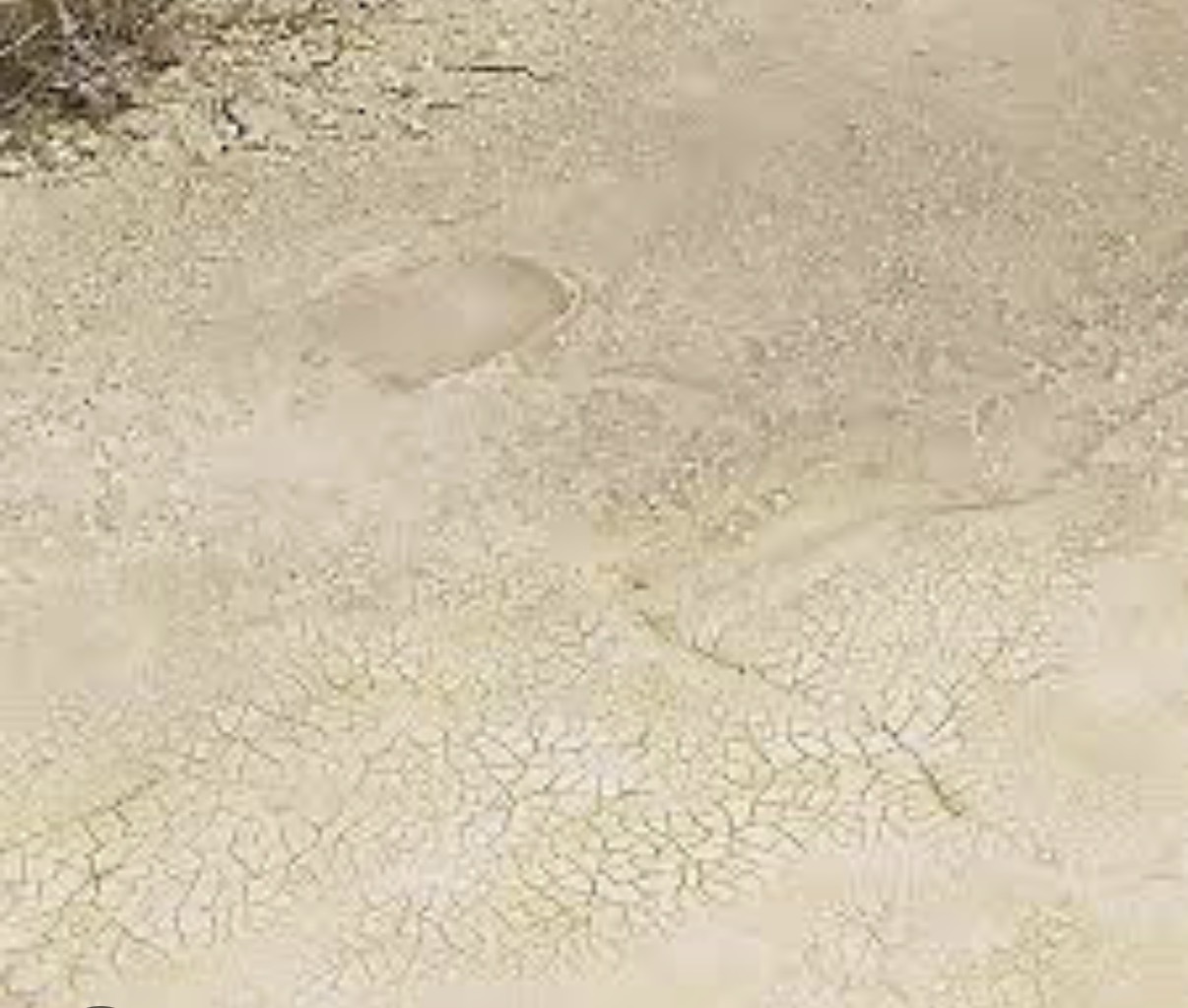 AK8033 Light & Dry Crackle Effects 100ML