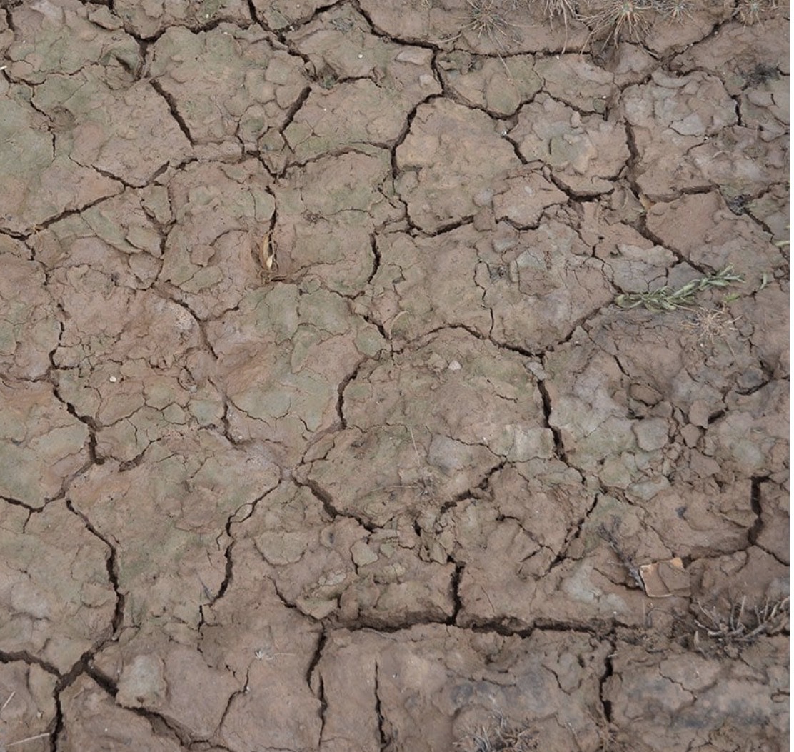 AK8034 wet crackle effects 100ML