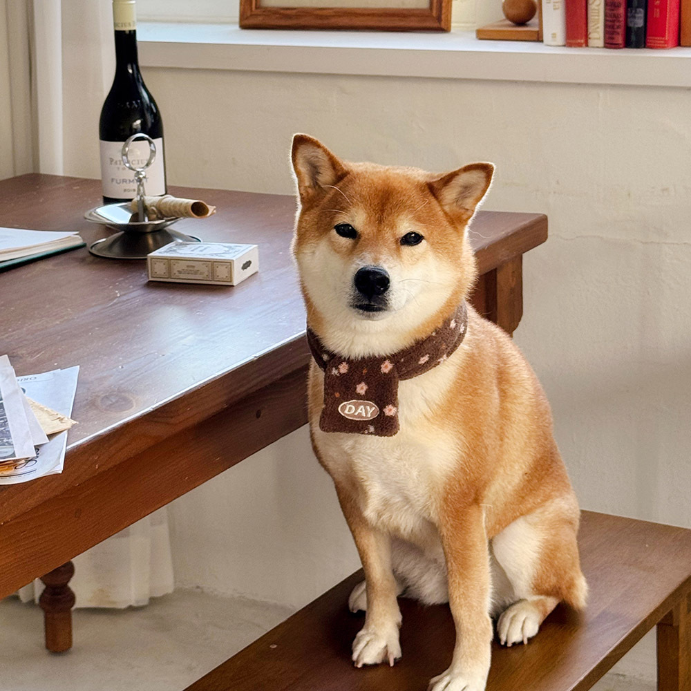 【預購】cuddly day｜奶奶小花絨布圍巾