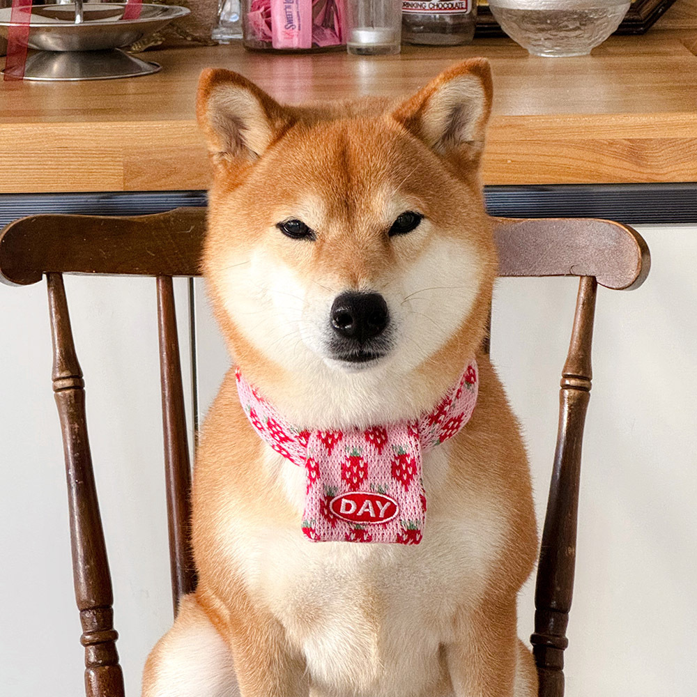 【預購】cuddly day｜草莓針織圍巾