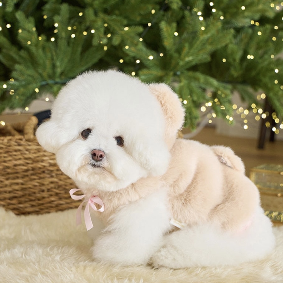 Bear Fur Coat 熊寶寶毛毛大衣 (Beige)奶茶色-It’s sunny outside