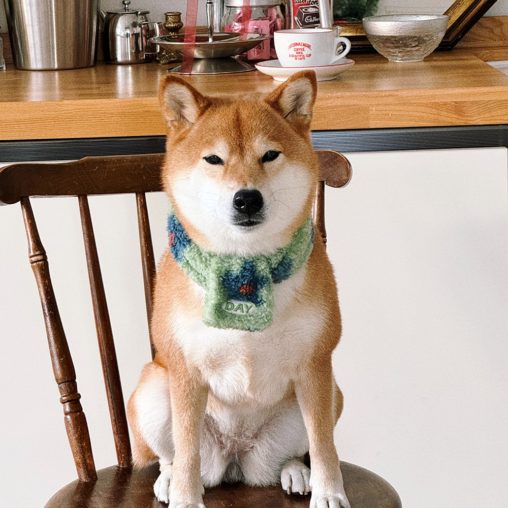 【預購】cuddly day｜花花毛絨圍巾