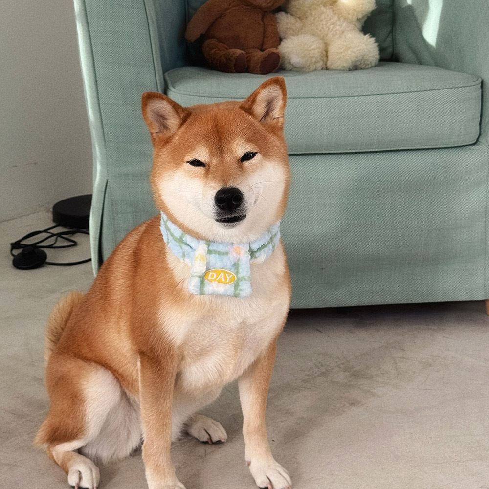 【預購】cuddly day｜軟綿綿棉花糖 圍巾