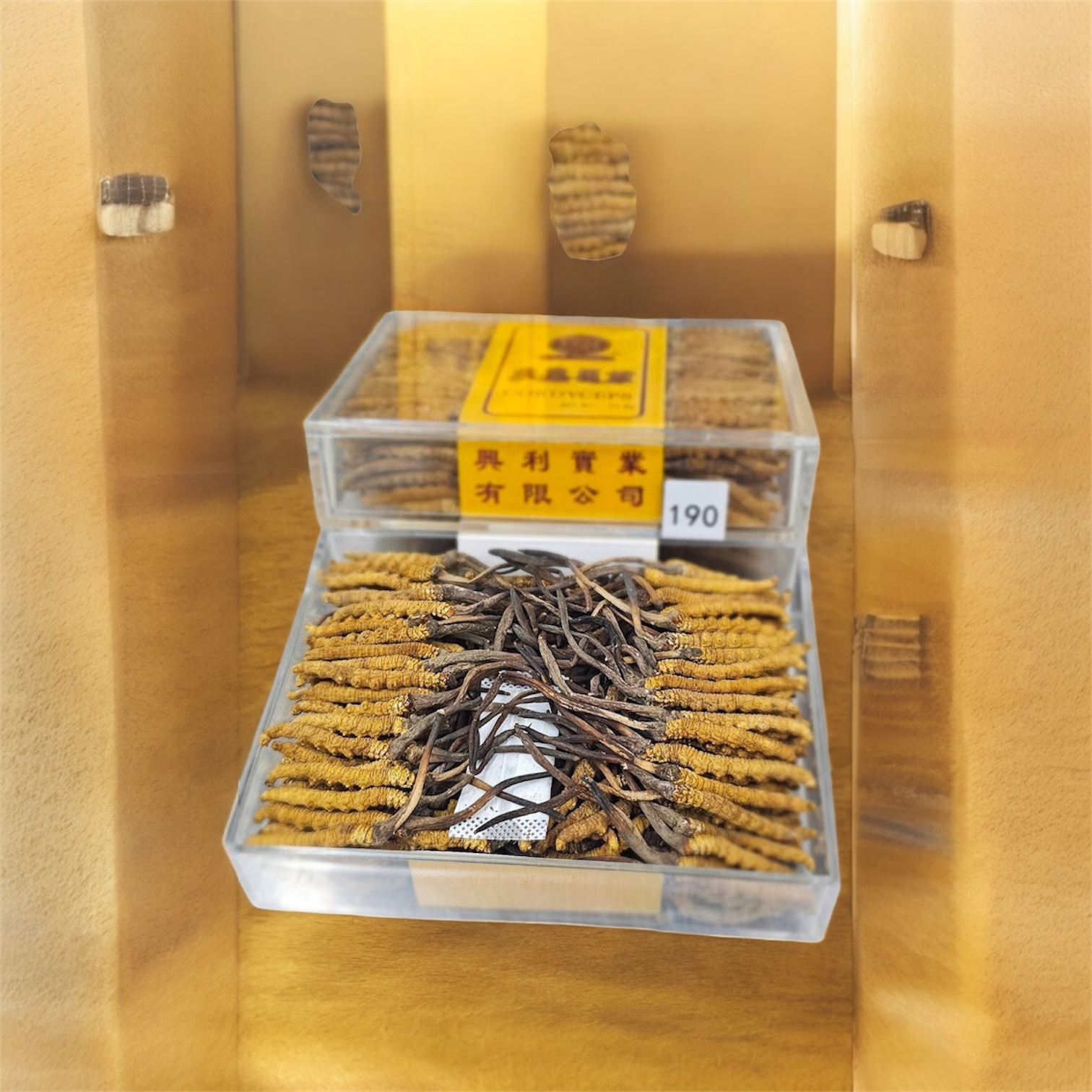 H20579 西藏野生那曲原枝肥大冬蟲夏草肉🐛