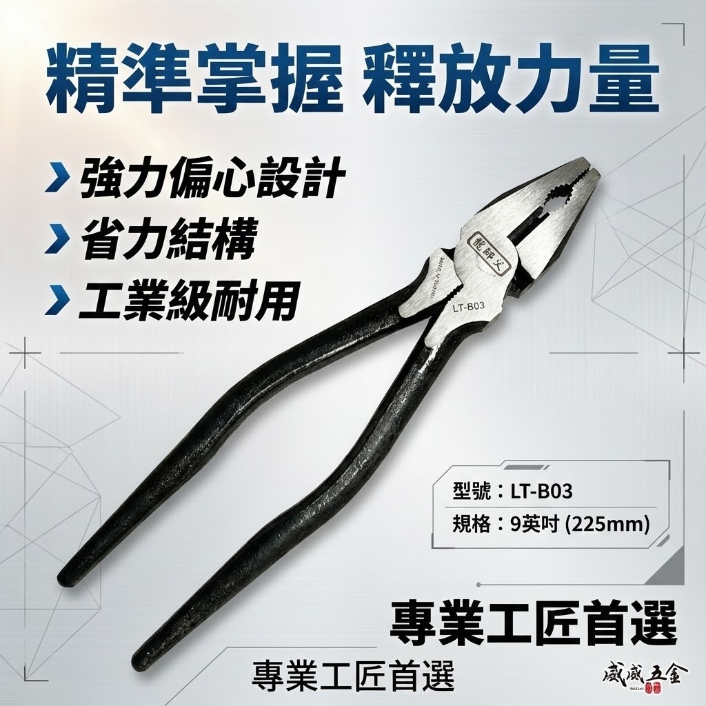 龍師父｜9" 板模用鋼絲鉗 225mm 尖尾鋼絲鉗 板模鐵鉗 省力老虎鉗 鐵線鉗｜LT-B03｜經濟平價型