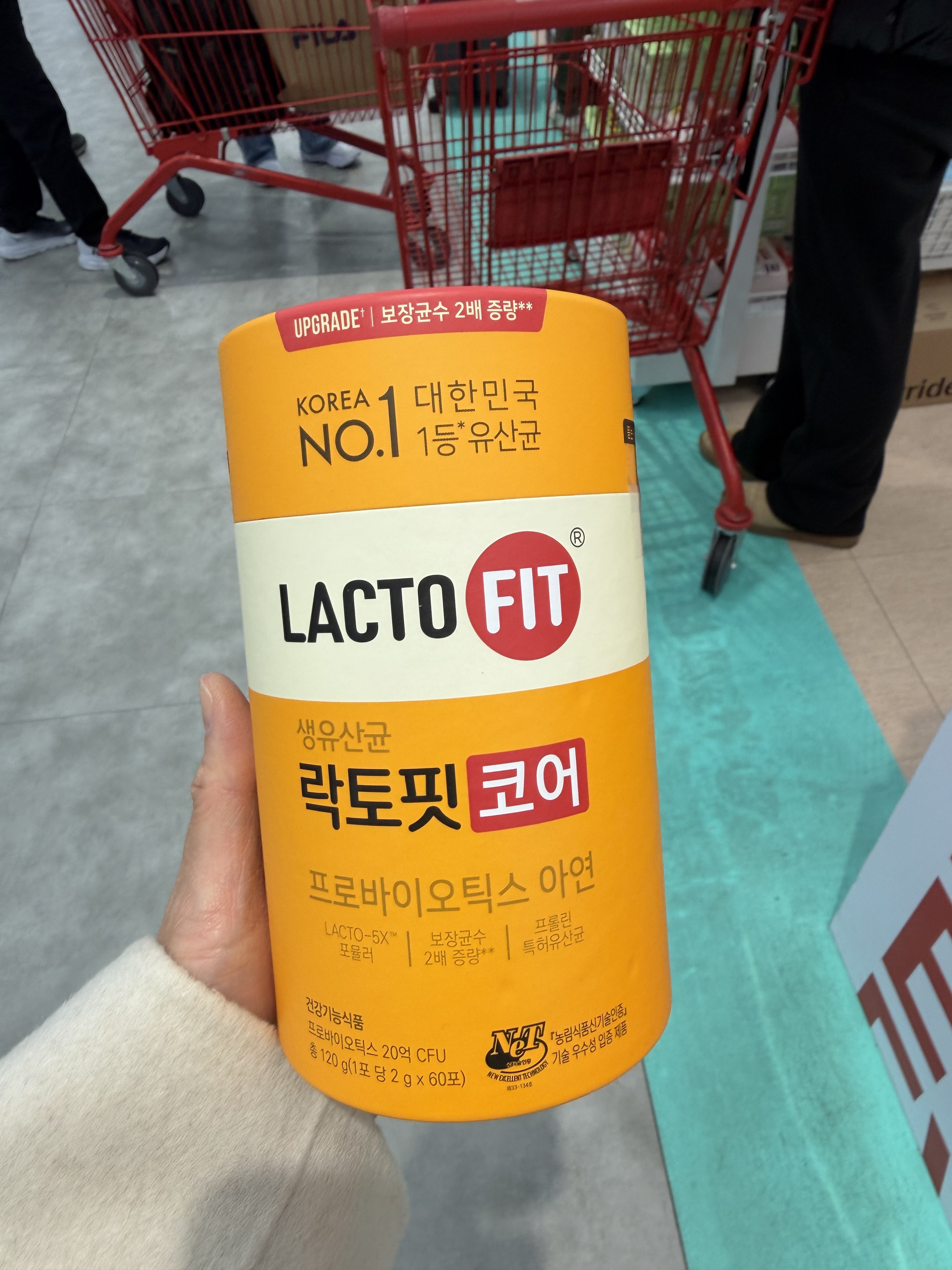 鍾根堂LACTO-FIT 腸道健康益生菌