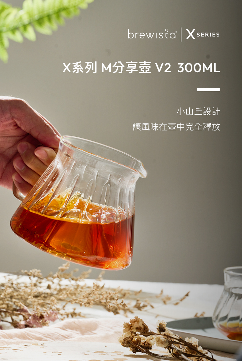 Brewista M分享壺V2 300ml