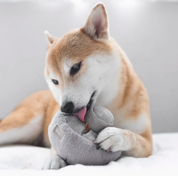 Lambwolf - GUU (Haze) Small