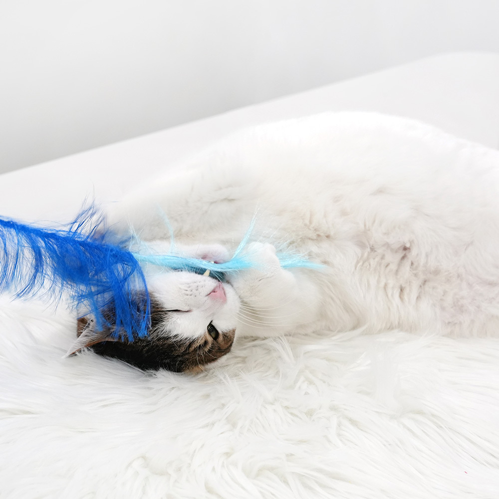 PARISCAT 蘆葦芒草逗貓棒