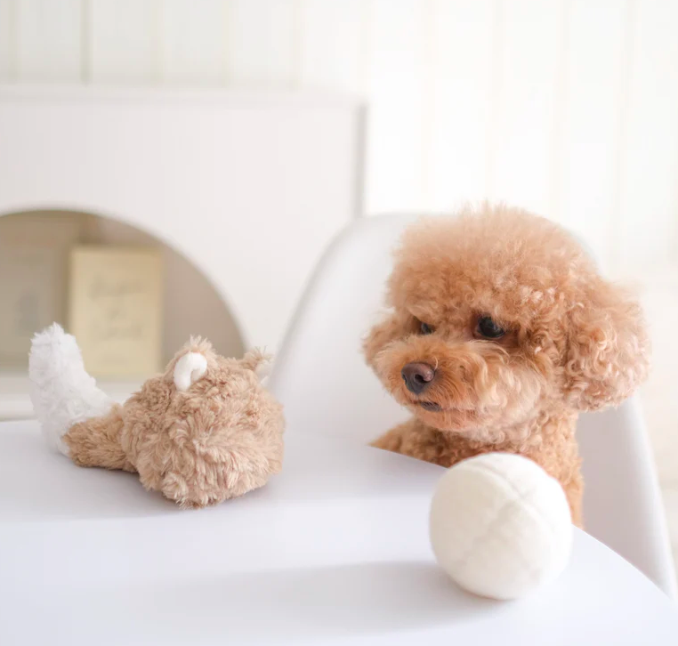 Lambwolf - 狐狸尾巴吱吱響玩具