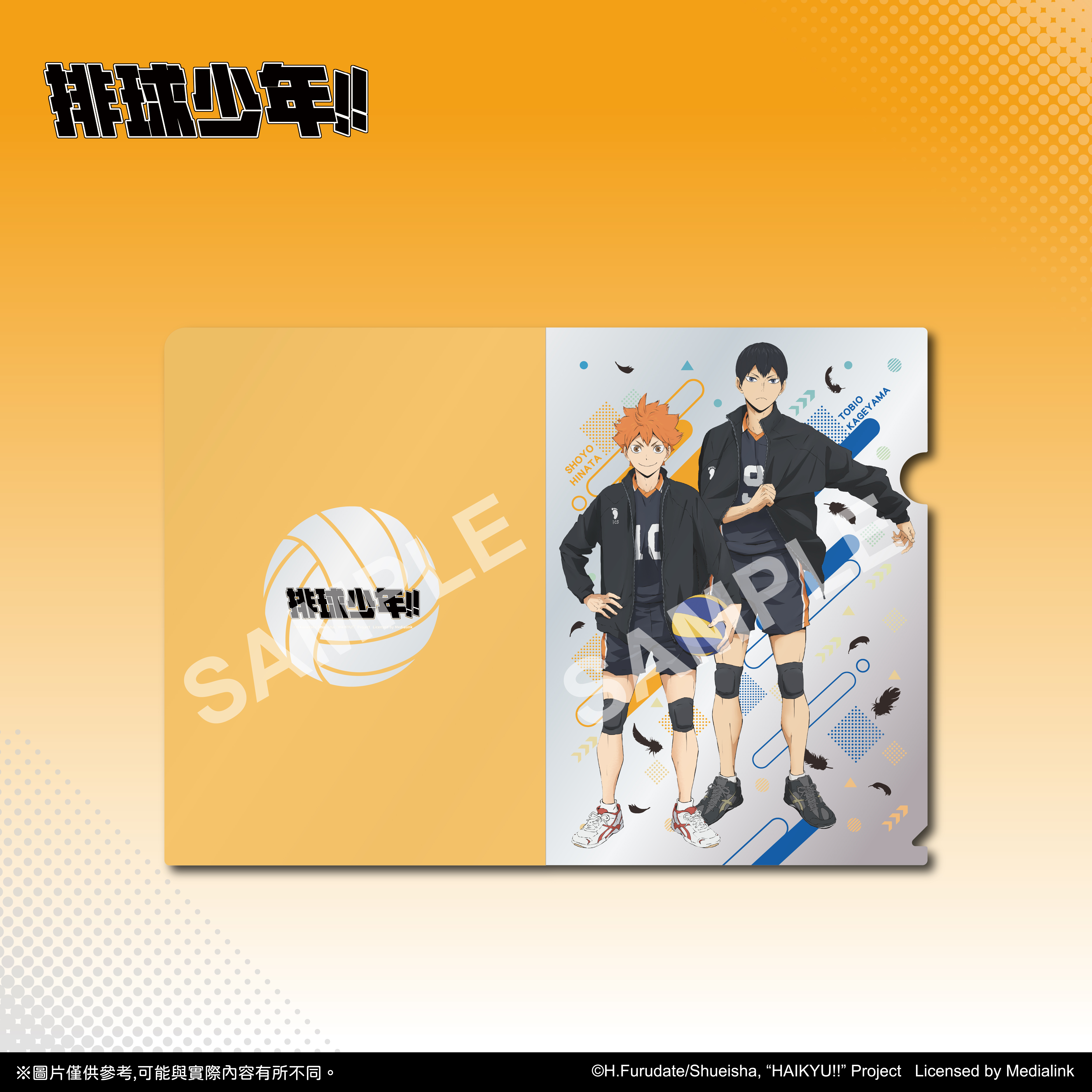 【預購】排球少年!!-資料夾-烏野