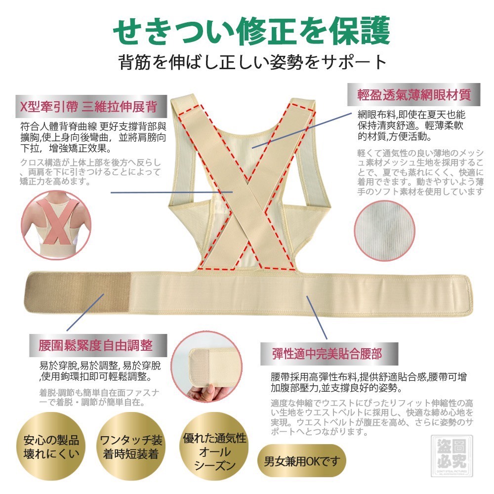WSBB10102  日本 透氣網布脊椎矯正帶 （現貨 ）