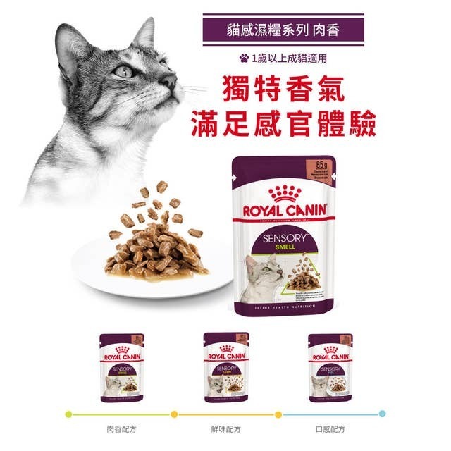 Royal Canin FHN 貓感系列 肉香營養主食濕糧（肉汁）【85gx12包】