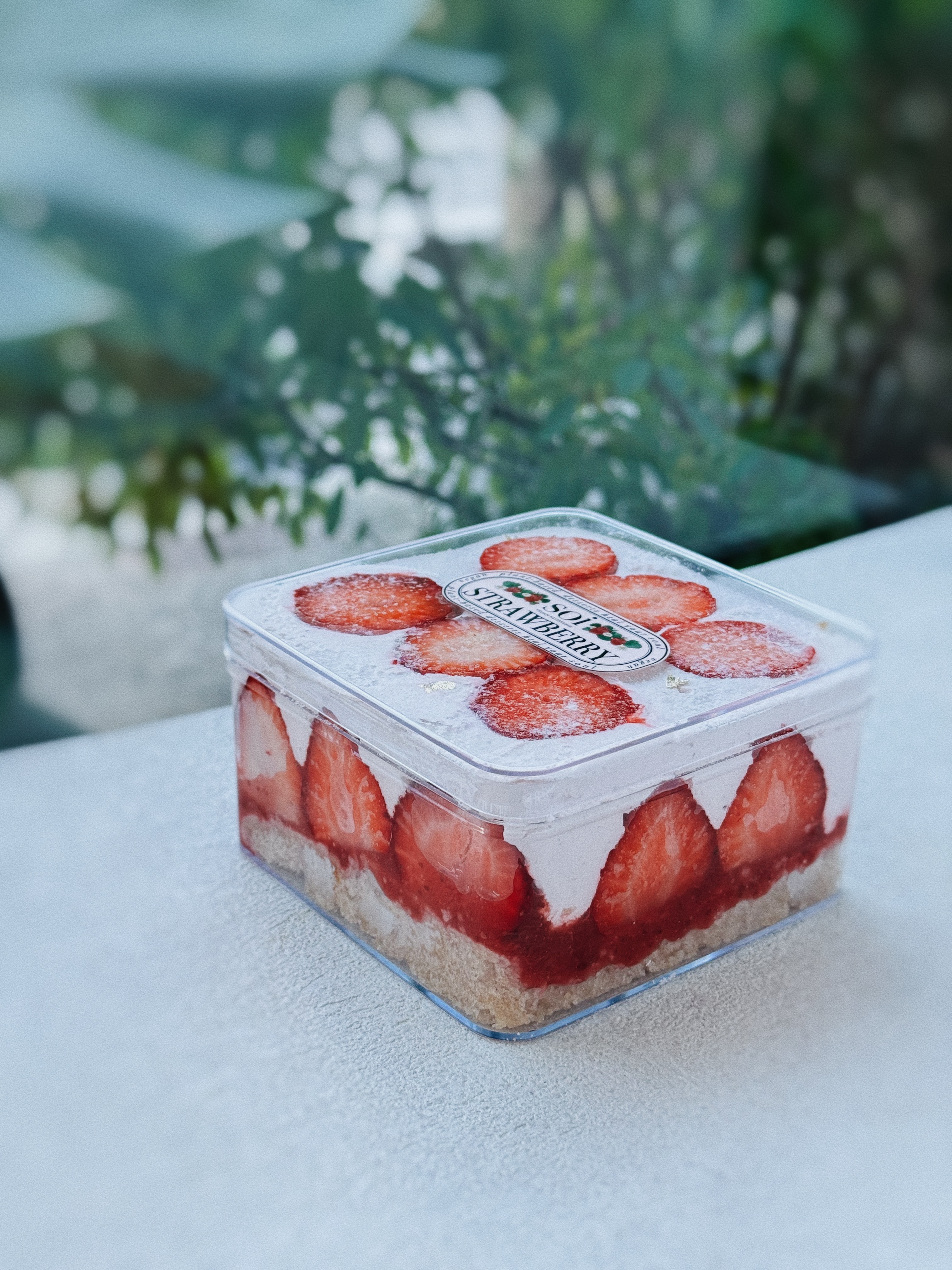 全素草莓珠寶盒