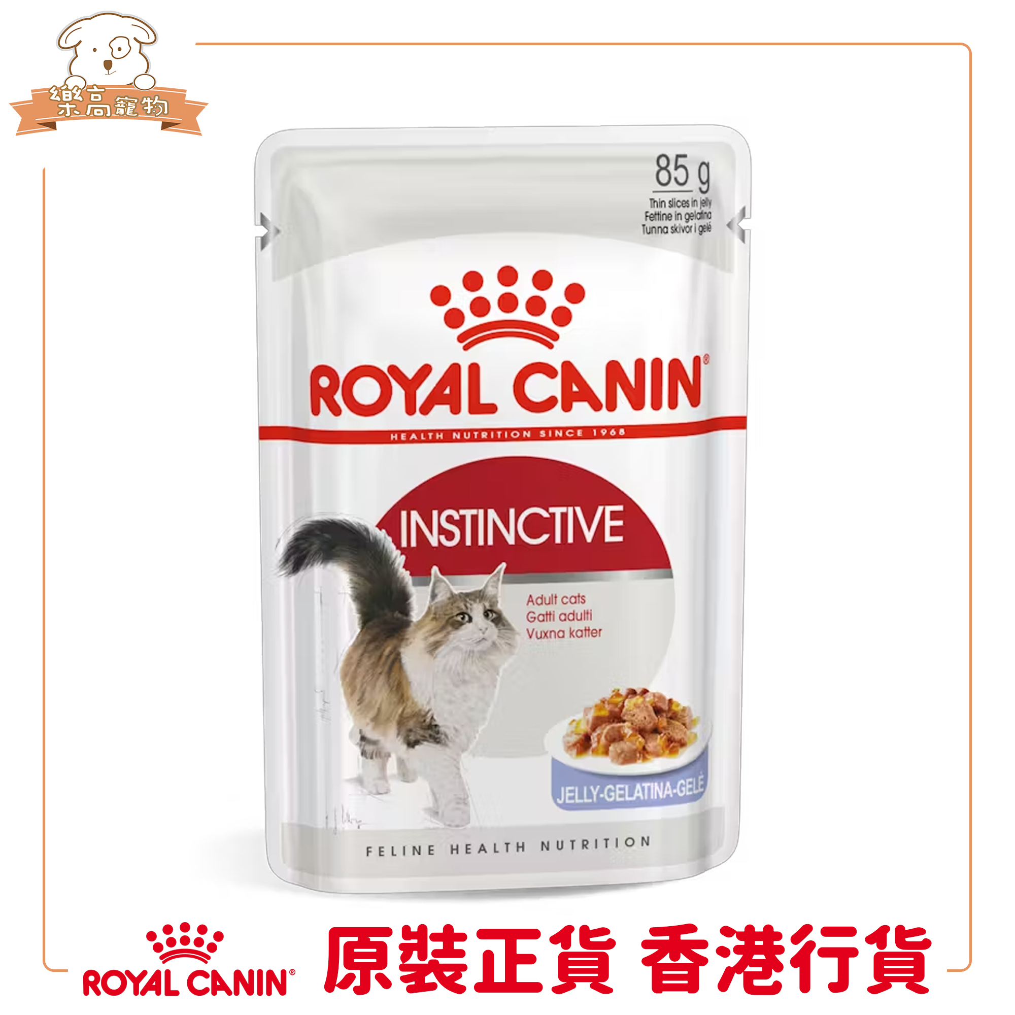 Royal Canin FHN 成貓理想體態營養主食濕糧（啫喱）【85gx12包】