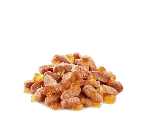 Royal Canin FHN 絕育成貓營養主食濕糧（啫喱）【85gx12包】