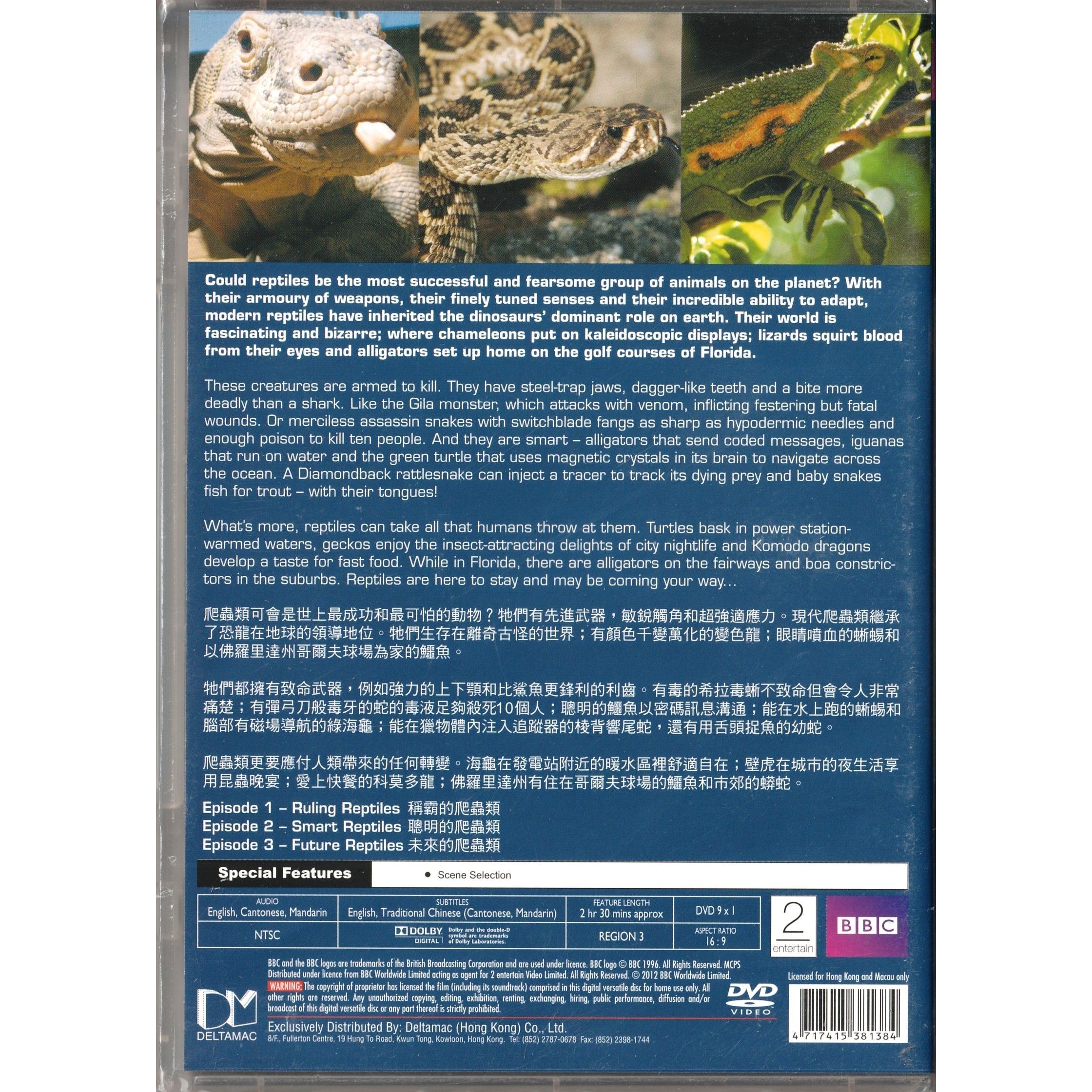 Dragons Alive (Complete Series) (DVD)