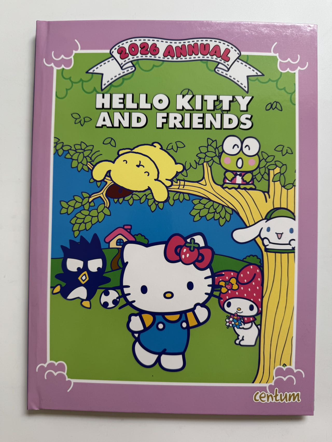 Hello Kitly Cat Puzzle Activity Book with Answers