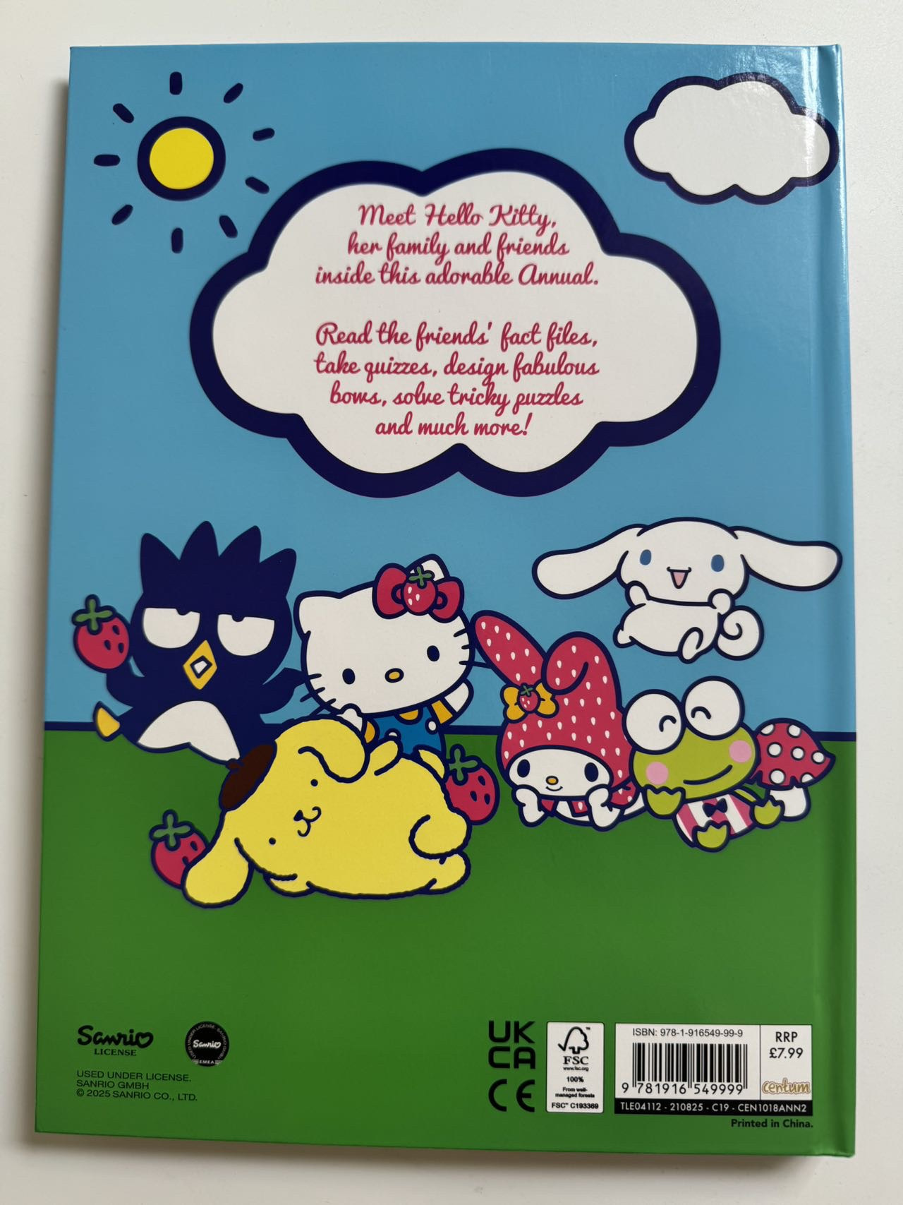 Hello Kitly Cat Puzzle Activity Book with Answers