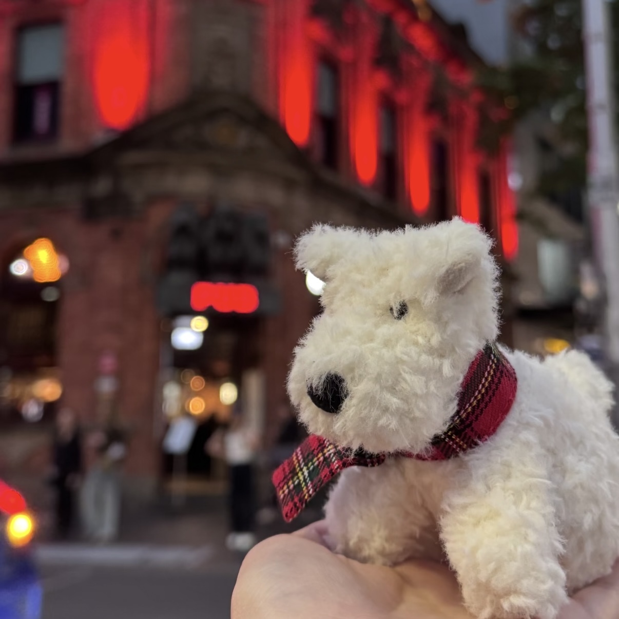 <快速出貨>  JELLYCAT🎄聖誕西高地吊飾