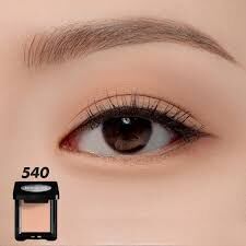 《現貨》MAKE UP FOREVER Artist 持色融肌眼影 (啞緻) - #540 暖調消腫打底神色