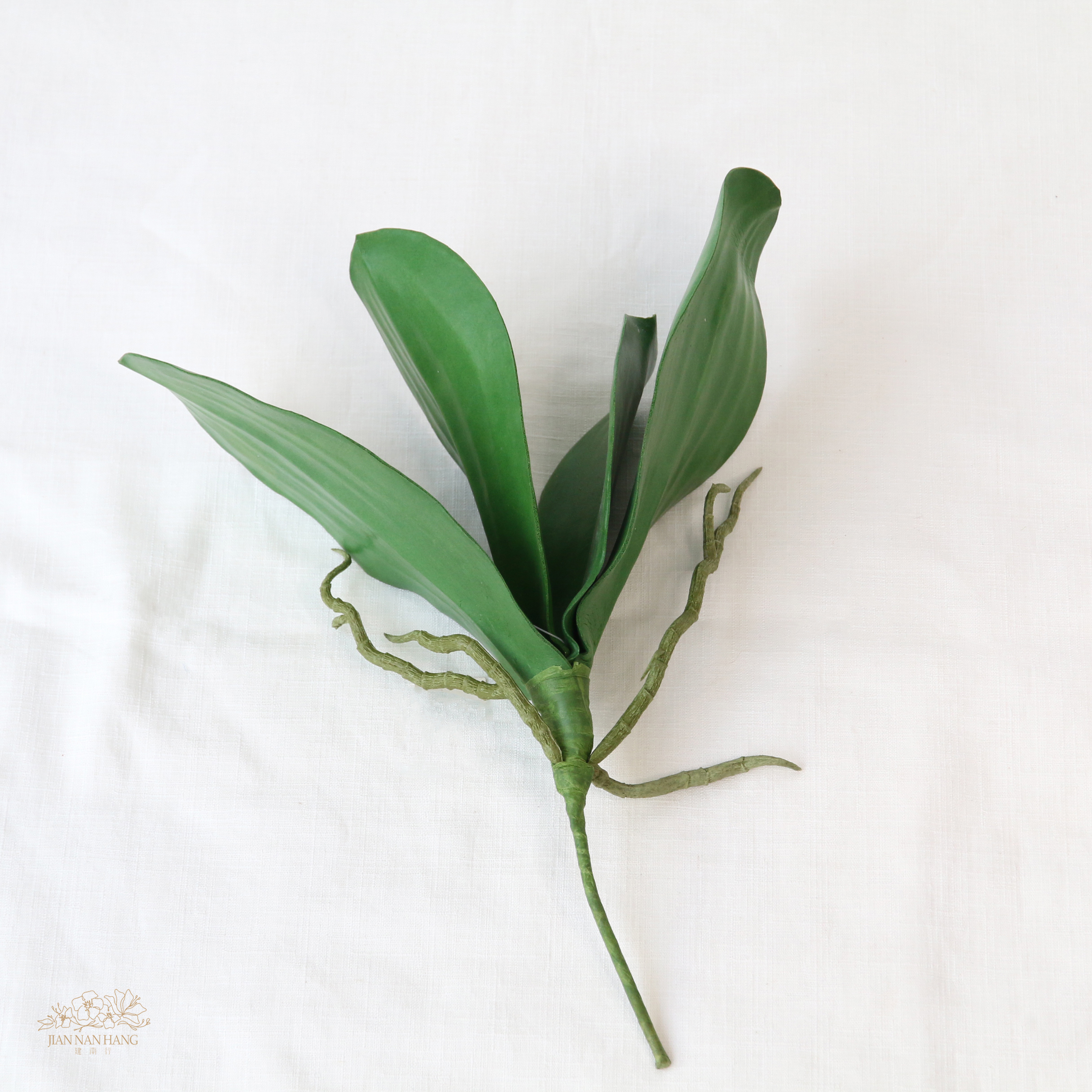 人造葉 蝴蝶蘭葉束 大葉