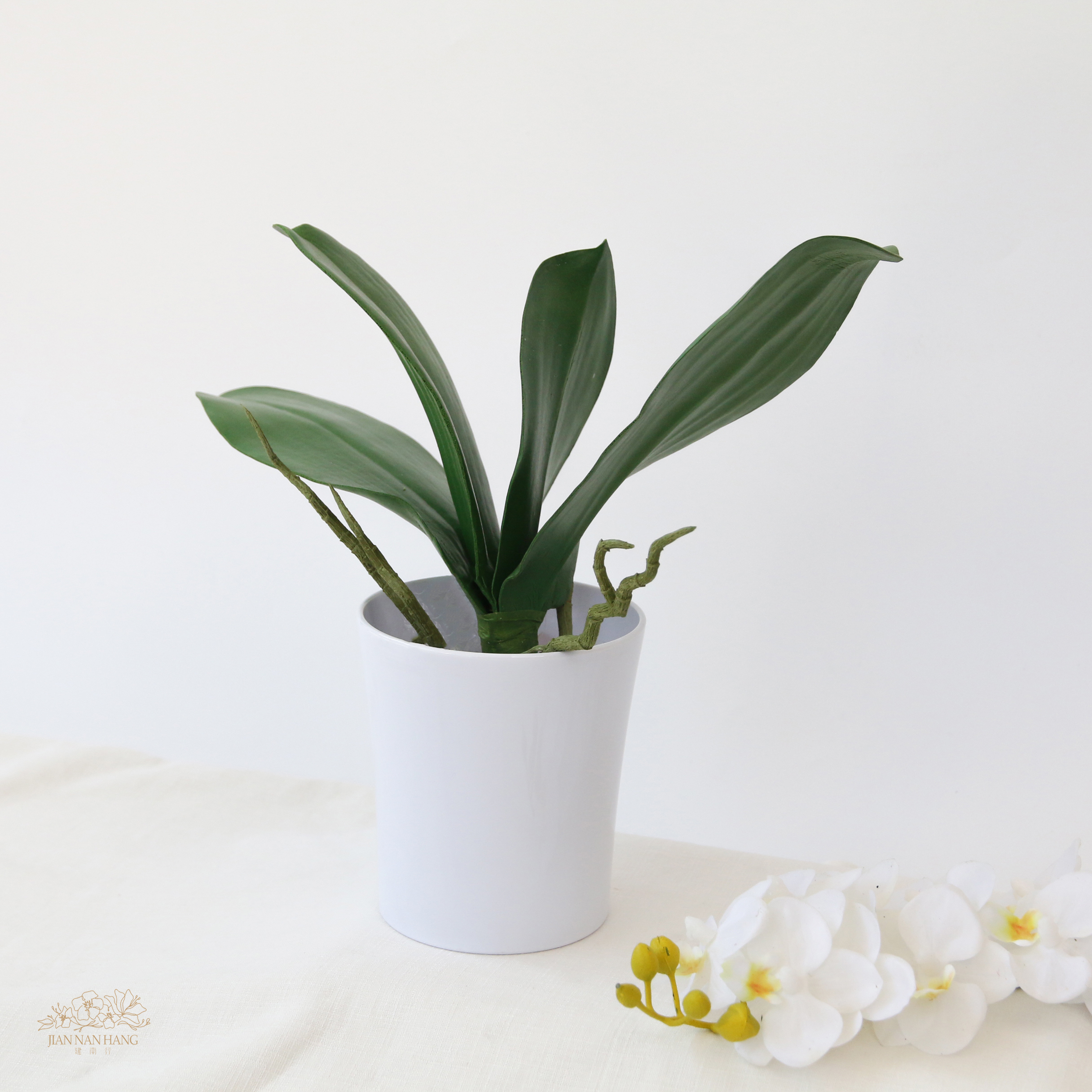 人造葉 蝴蝶蘭葉束 大葉