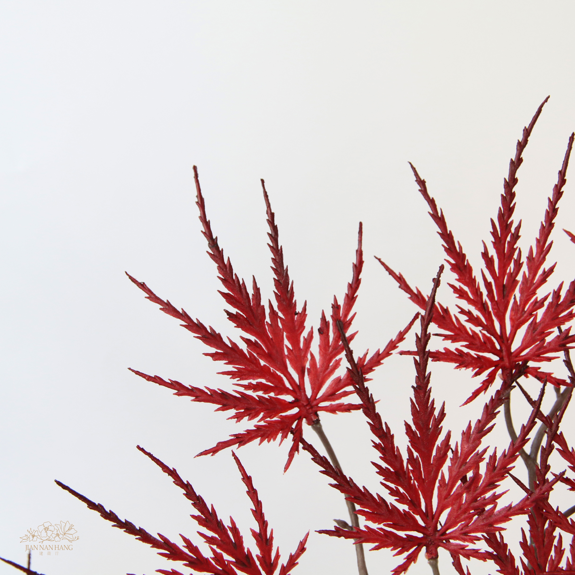 人造葉 羽毛楓葉枝 紅色