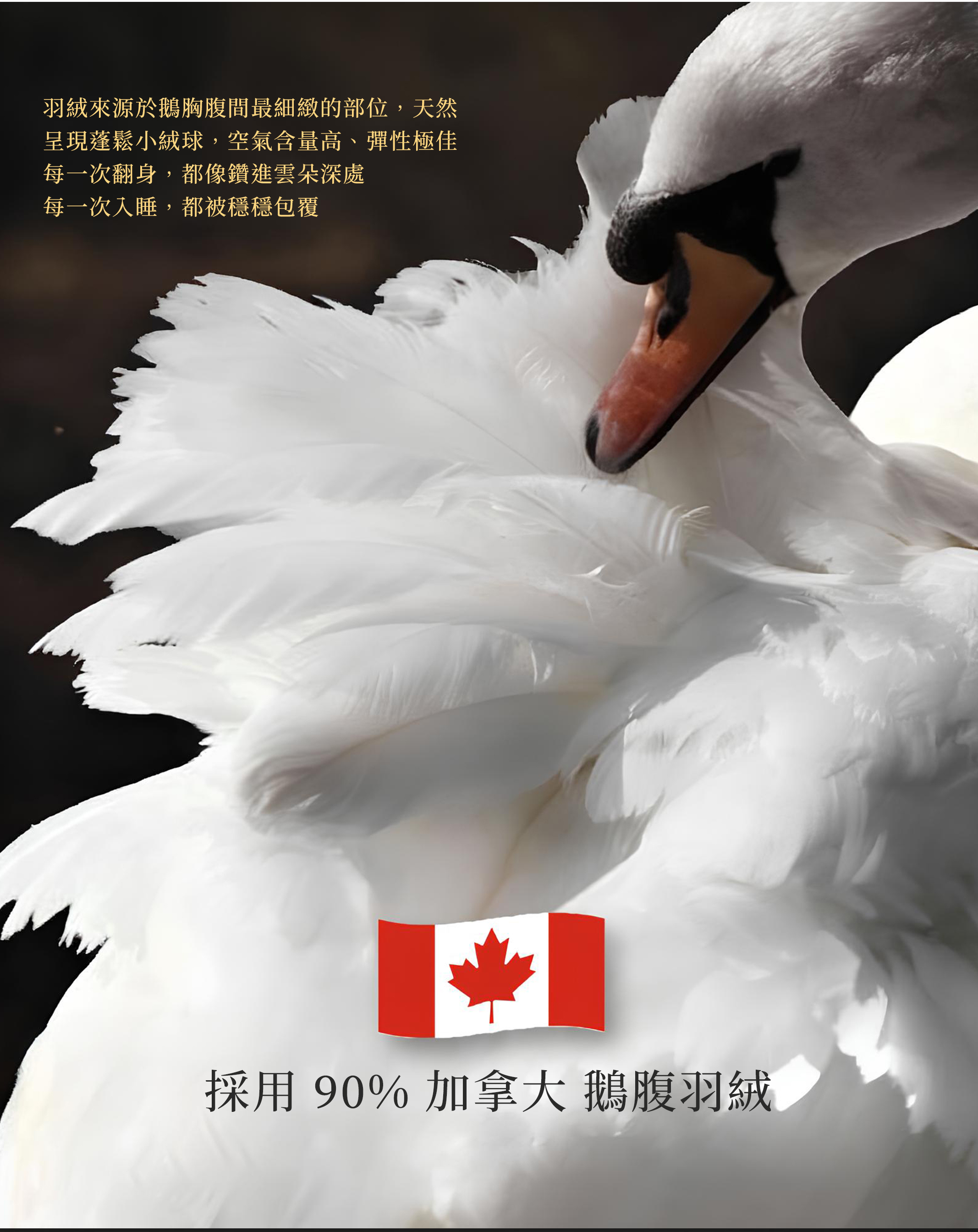 棉被,冬被,羽絨棉被,保暖棉被,被子