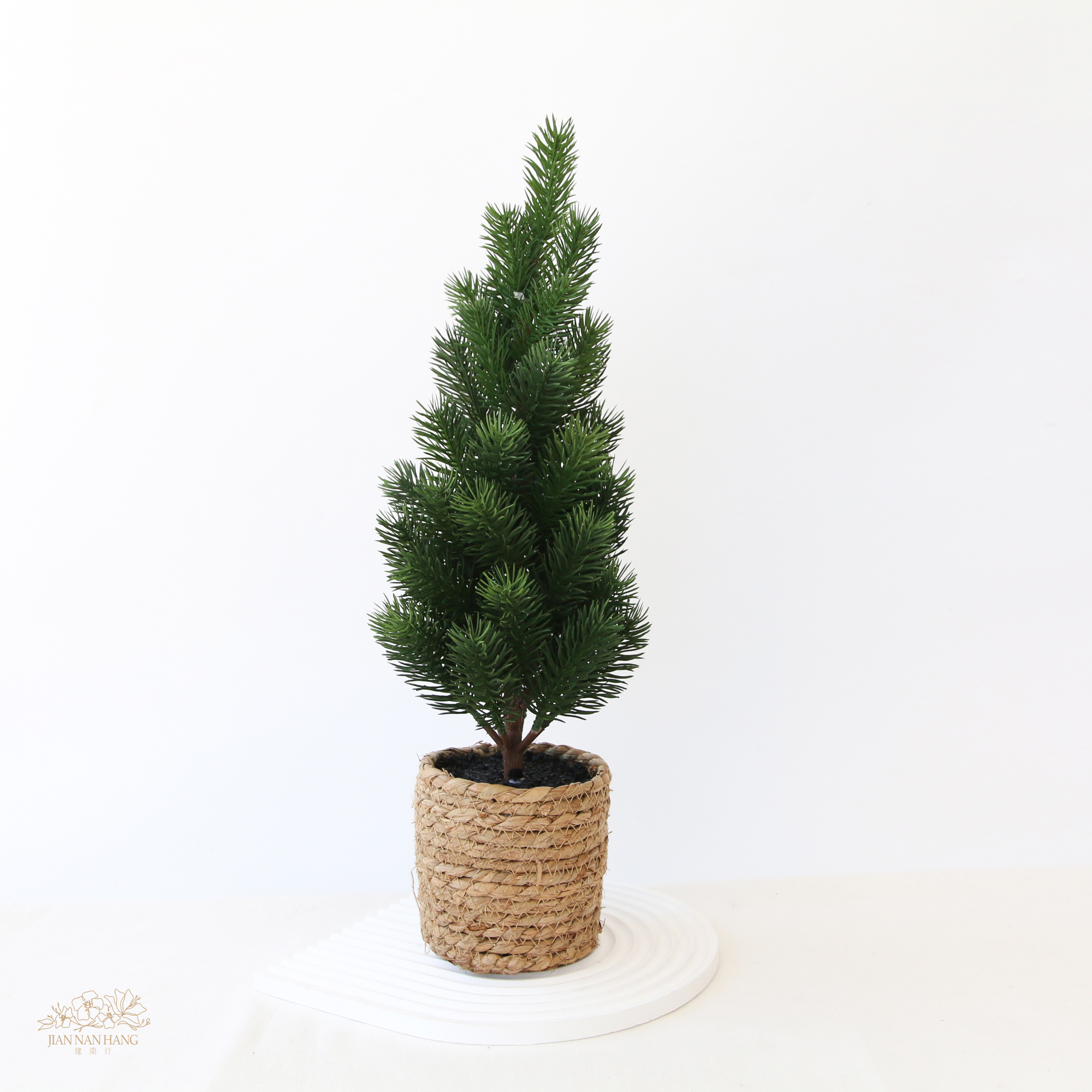 人造樹 諾貝松聖誕樹 2尺寸